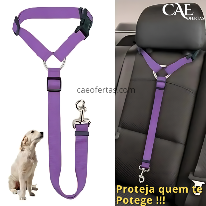 Cinto de segurança 2 em 1 para pets - Proteja seu amigo !!!