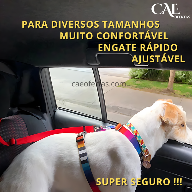 Cinto de segurança 2 em 1 para pets - Proteja seu amigo !!!