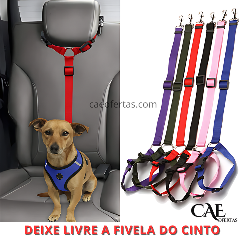 Cinto de segurança 2 em 1 para pets - Proteja seu amigo !!!